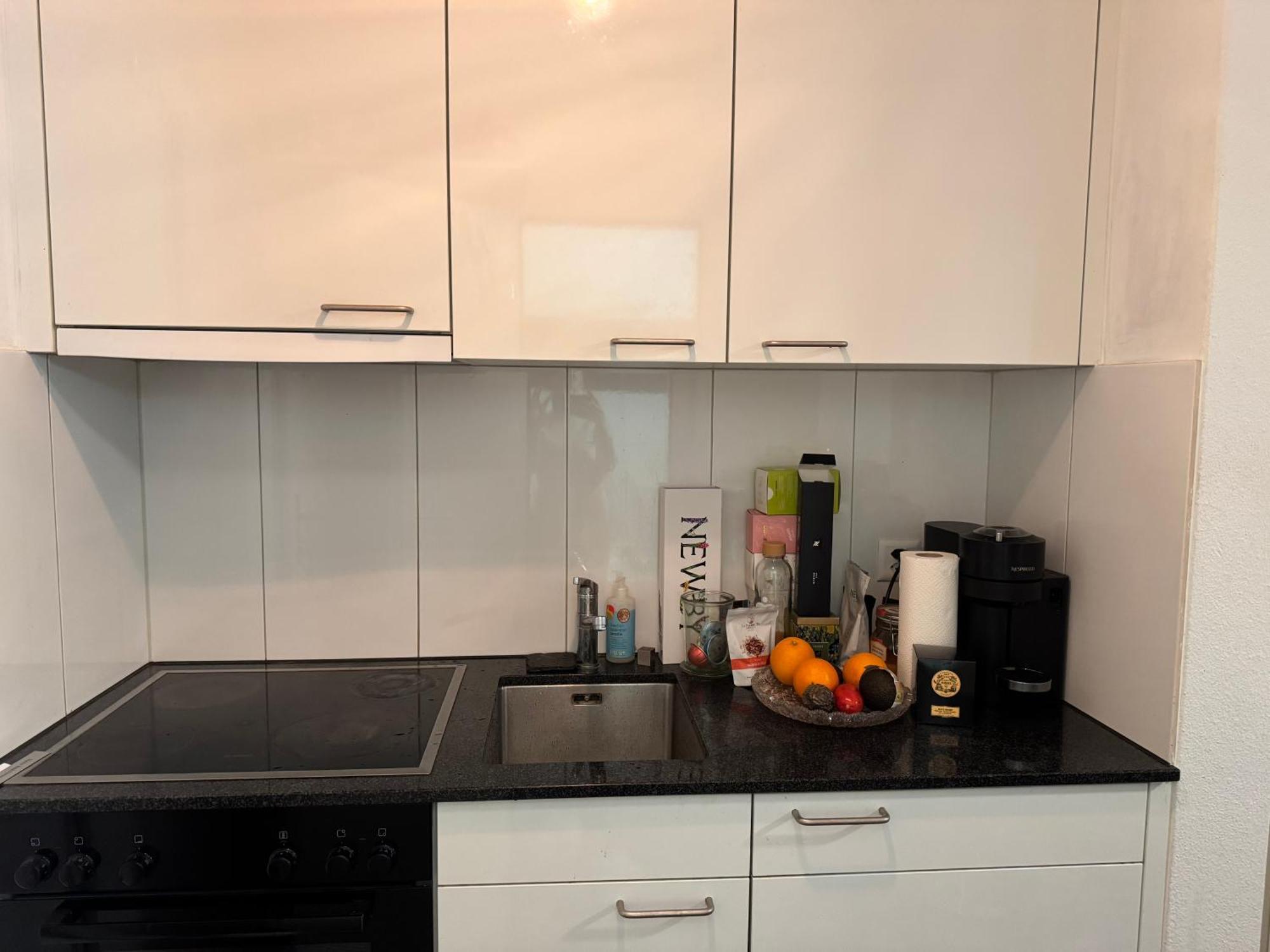 Zuerich Appartement * Zurich