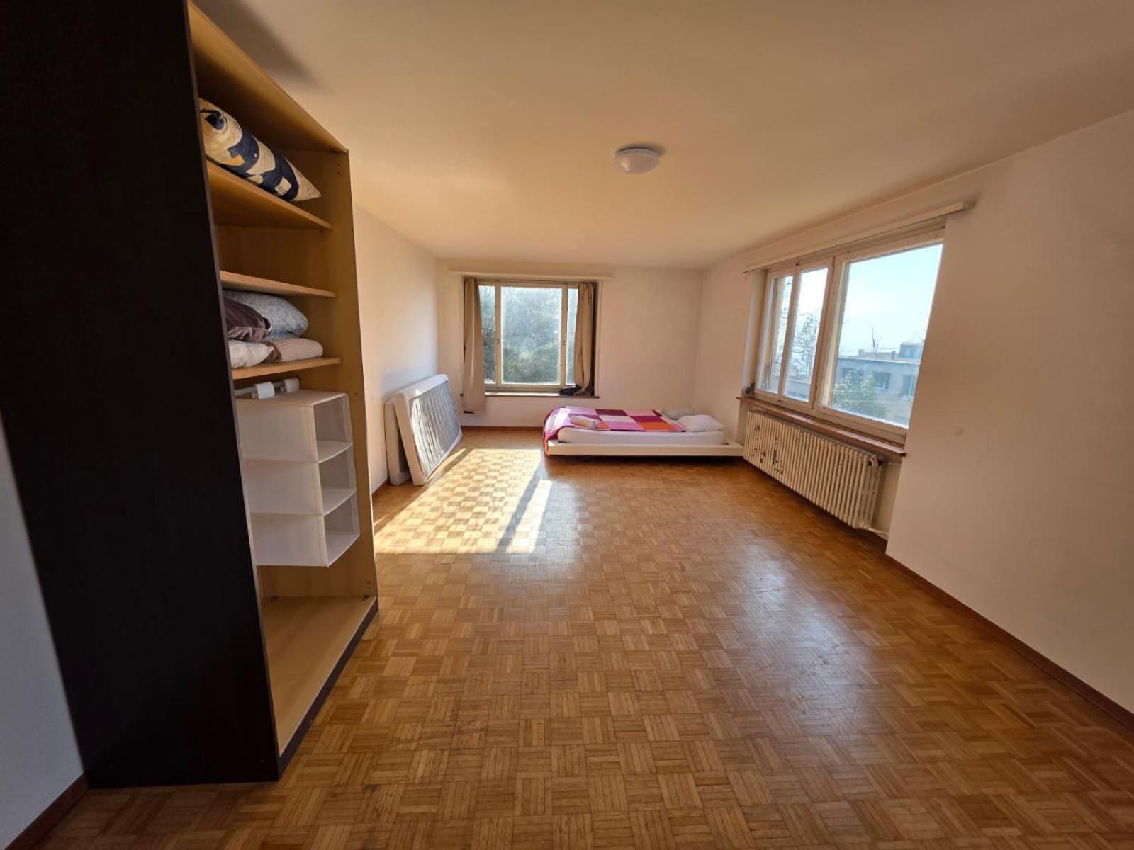 Center Flats With Balcony - Rigi Apartment Zurich