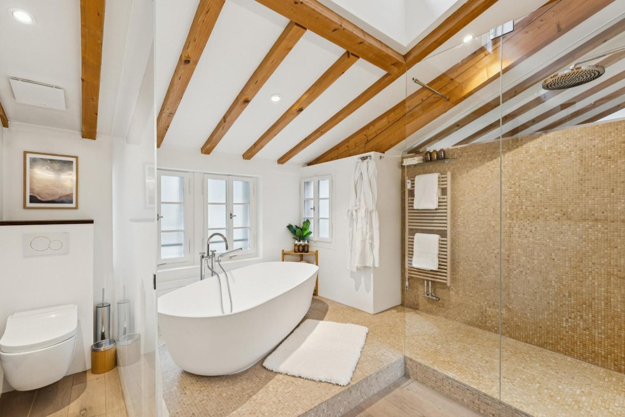 Old Town Diamond Penthouse Ac Private Rooftop Apartment Zurich