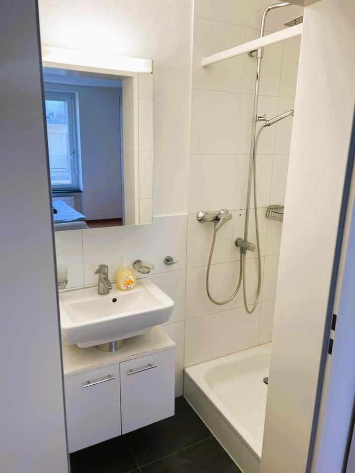 Apartment 2 Flats With Balcony - Hilda Zurich