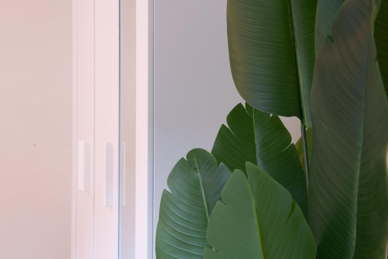 Pure Living In Oerlikon