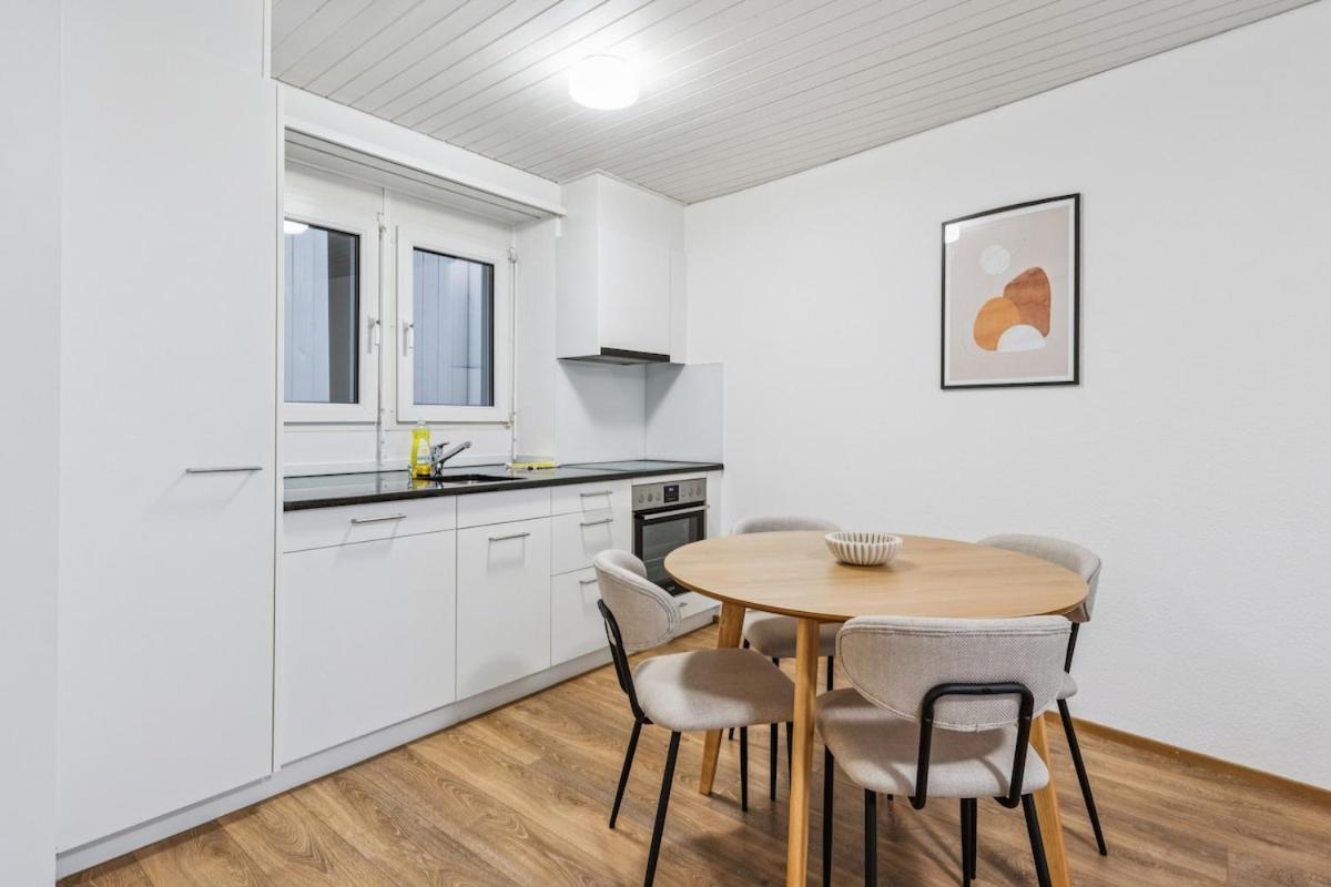 Apartment Luxury 1br In The Center - Color 5 Zurich