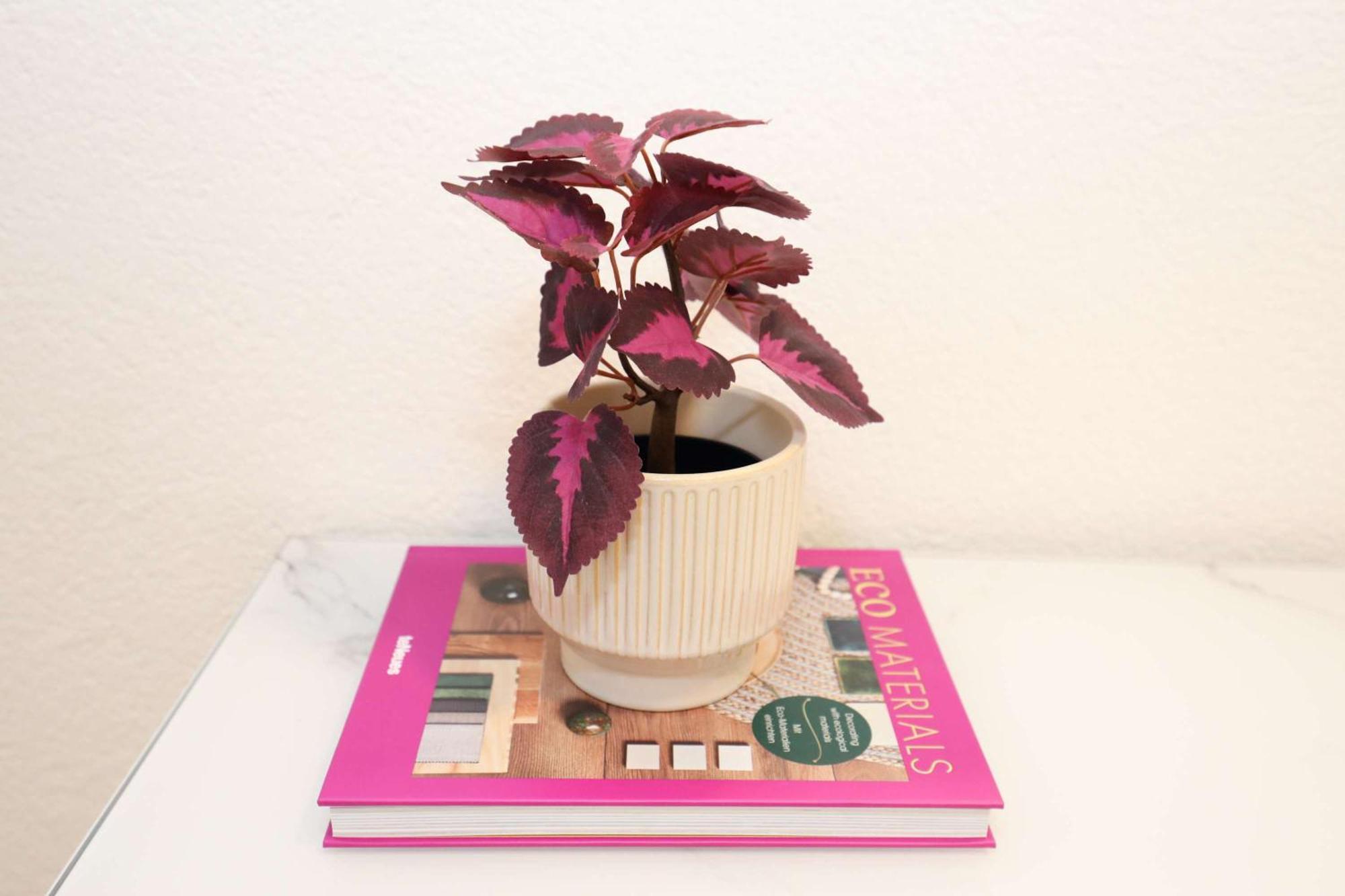 New Center With Private Entry & Parking *