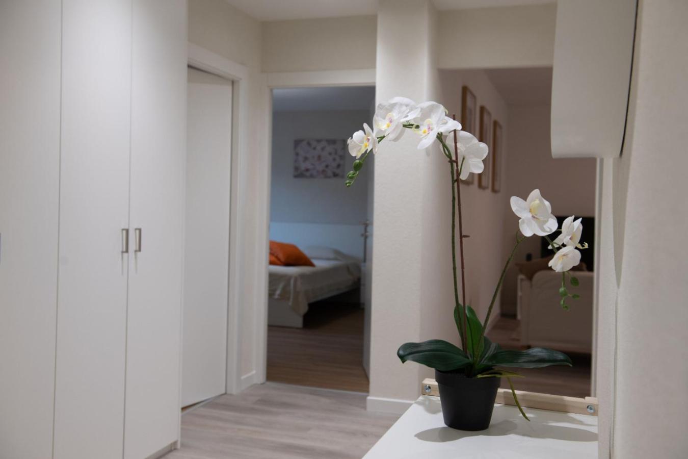 The Line In Oerlikon Apartment *
