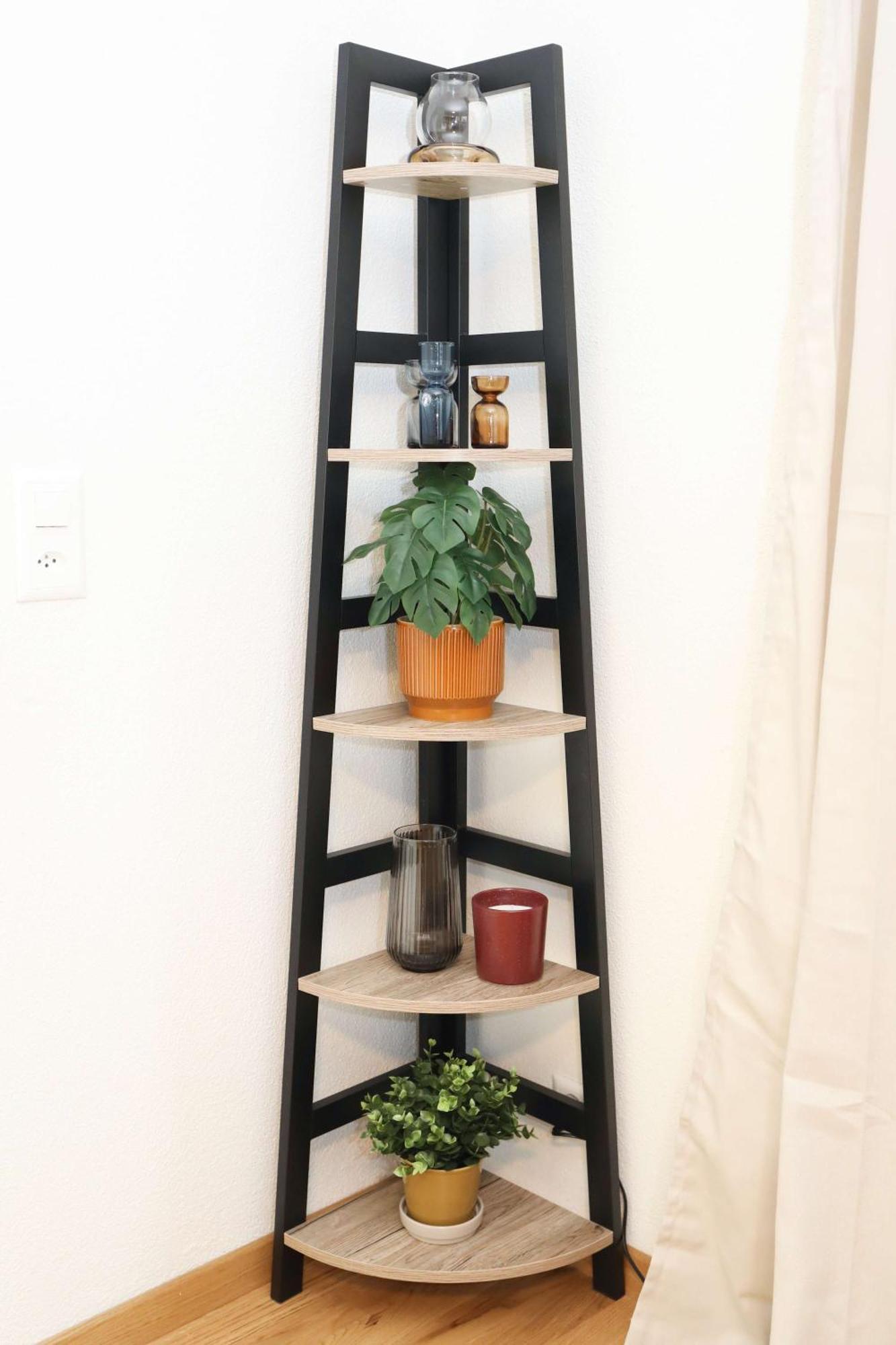 Apartment New Center With Private Entry & Parking