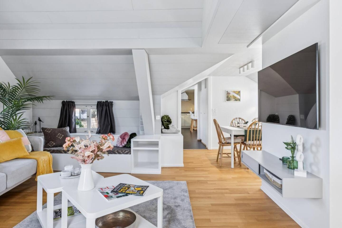 Old Town Penthouse Rooftop Terrace Ac Zurich