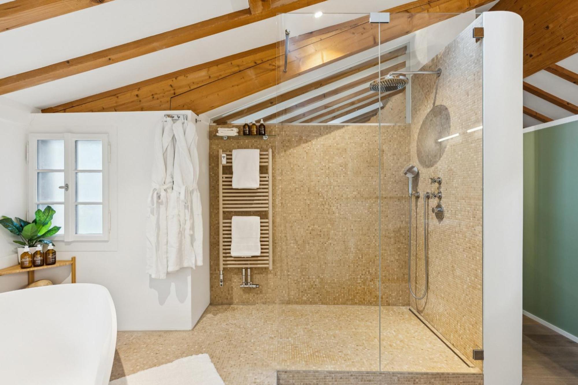 Old Town Diamond Penthouse Ac Private Rooftop * Zurich