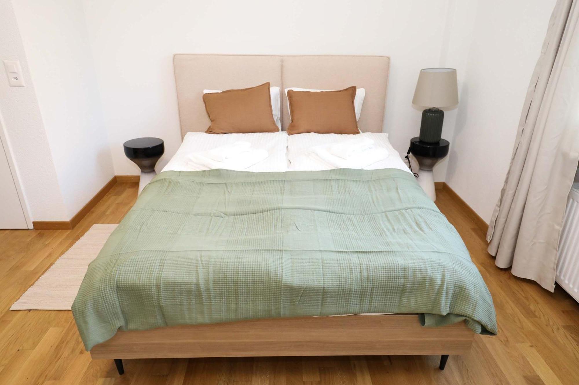 New Center With Private Entry & Parking Apartment Zurich