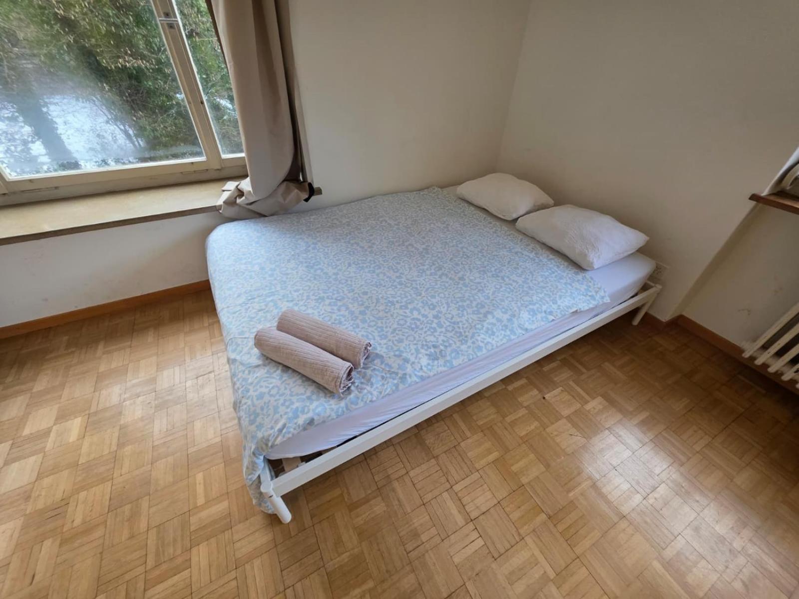 Center Flats With Balcony - Rigi Apartment Zurich