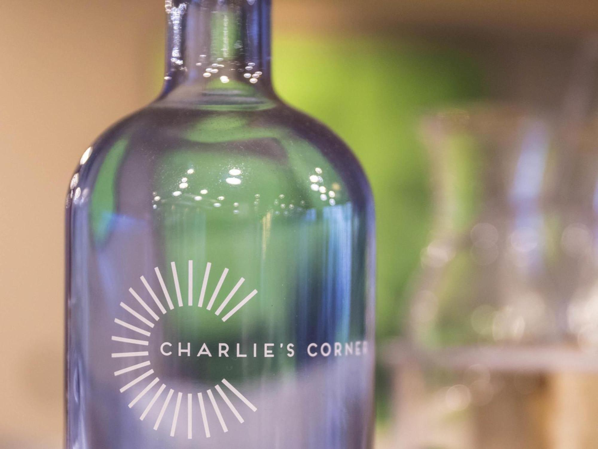 Ibis Messe Airport Hotel Zurich