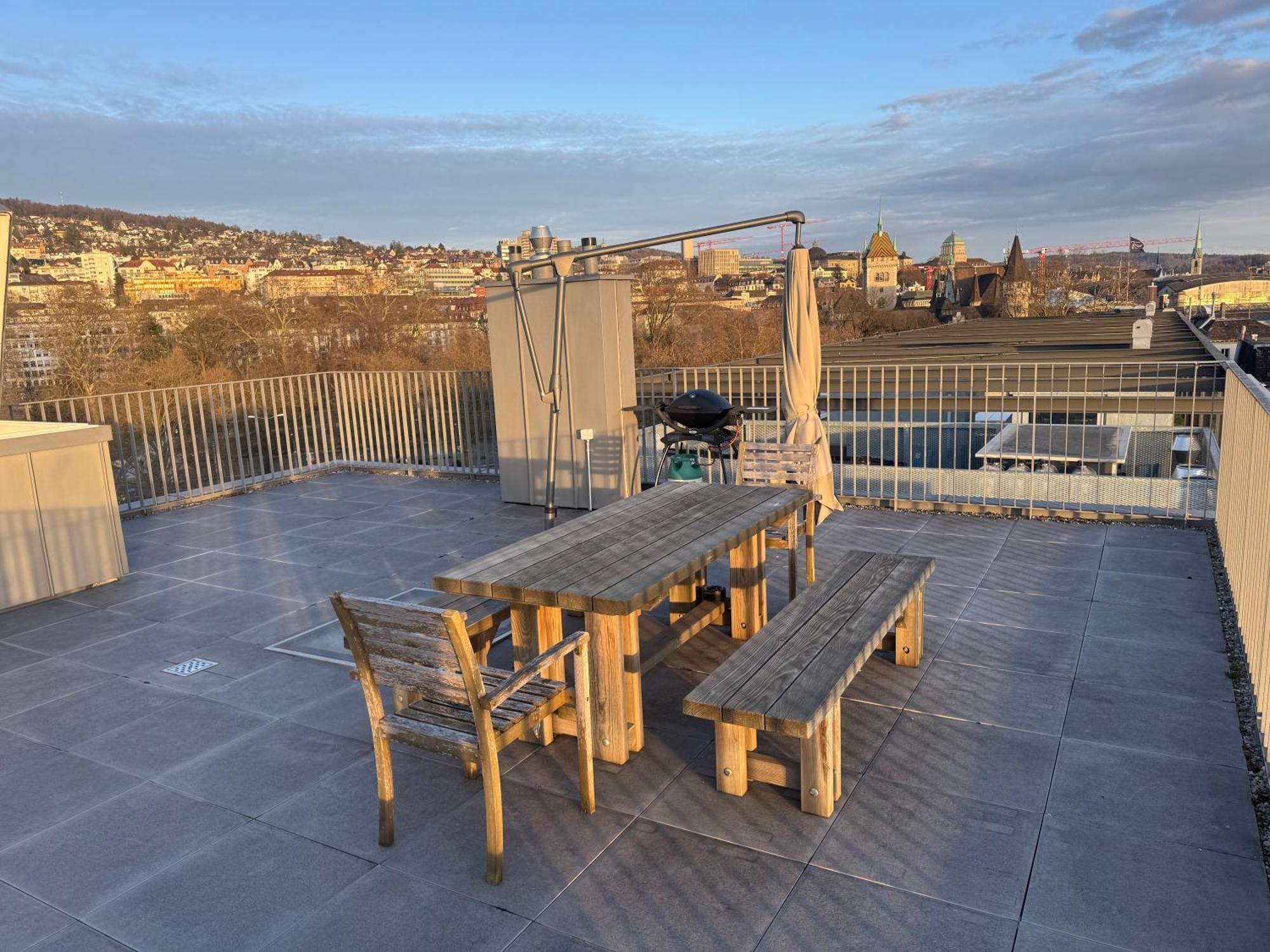 Apartment Modern Next To Hb With Roof Terrace Zurich