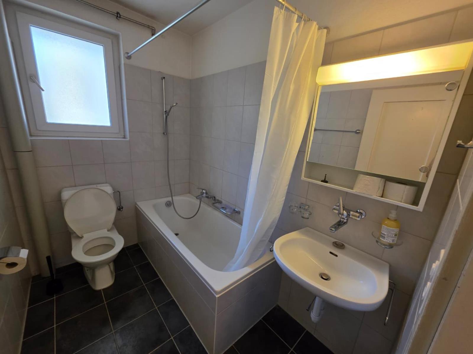 Large Flats, Center - Sch Apartment Zurich