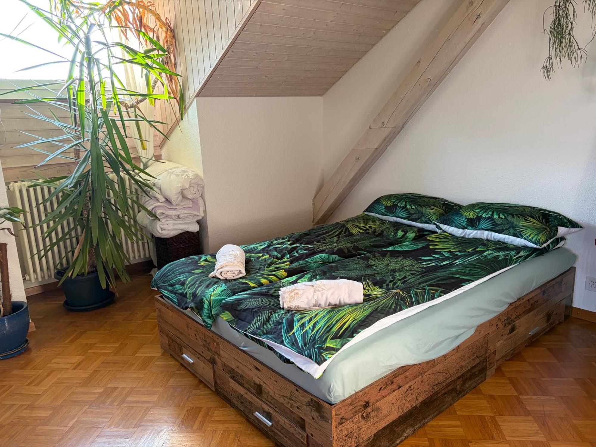 Urban Oasis - Attic In Iconic Langstrasse Apartment