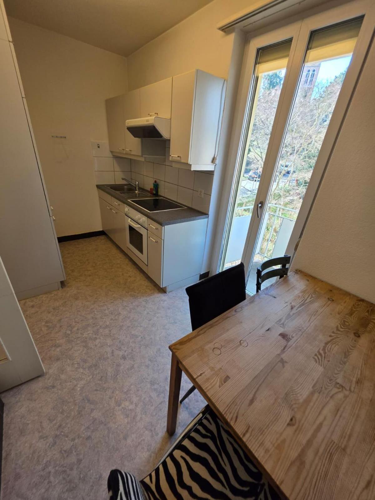 Large Flats, Center - Sch Apartment Zurich