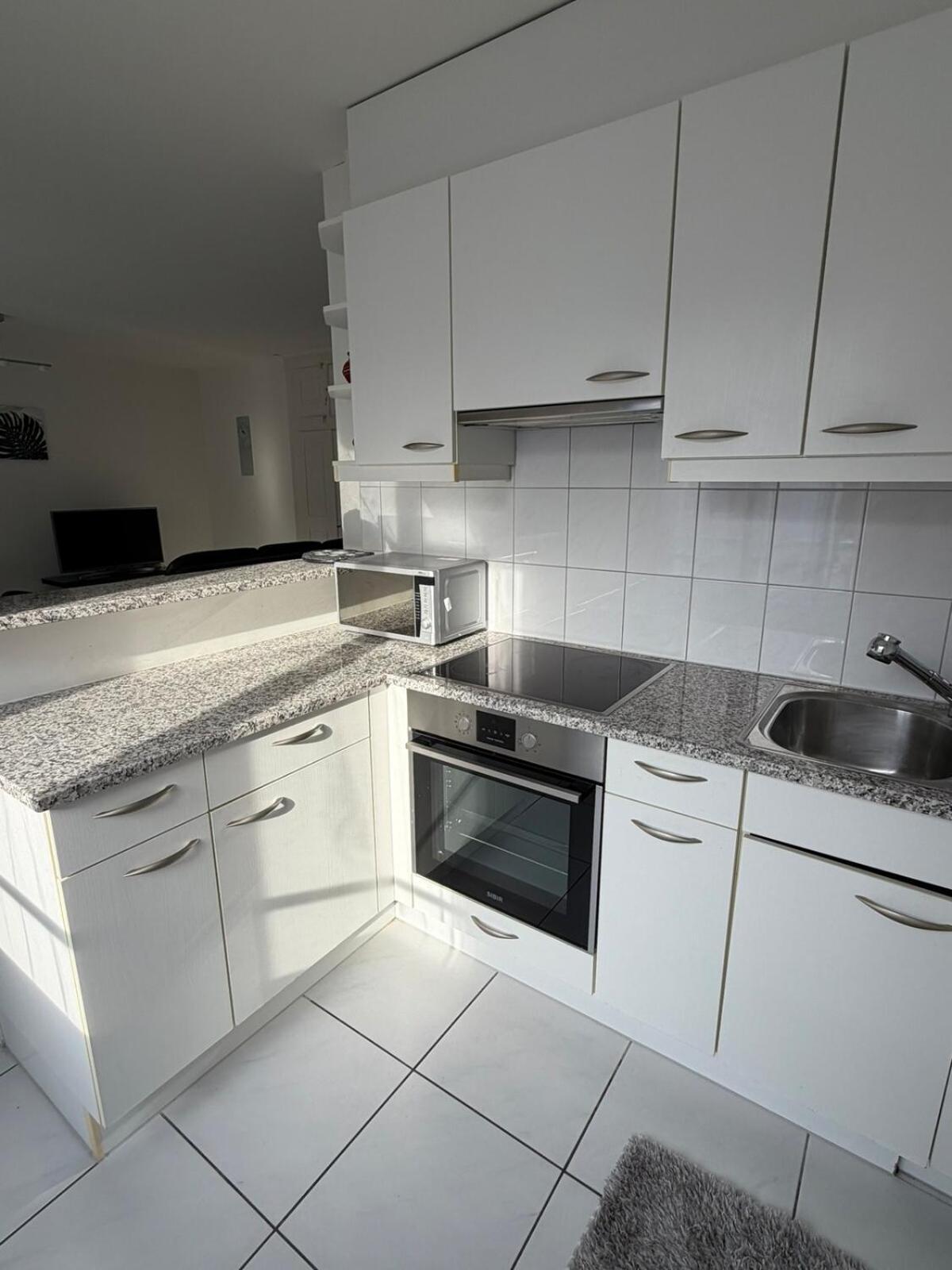 2 Aus41 1f R 8045 S2 Apartment Zurich