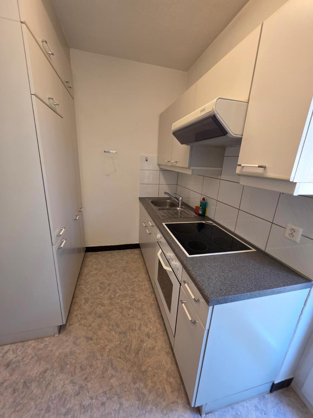 Large Flats, Center - Sch * Zurich