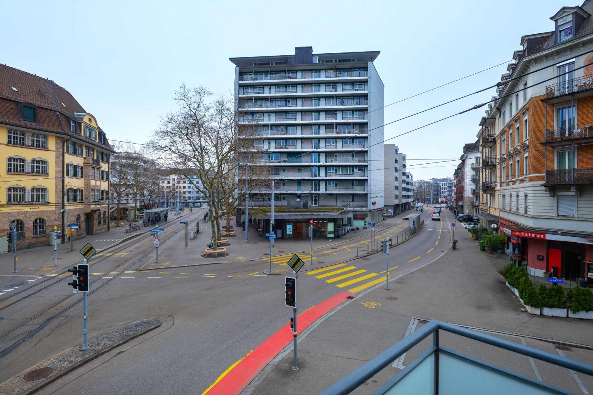 Zh Gold 1 - Hitrental *