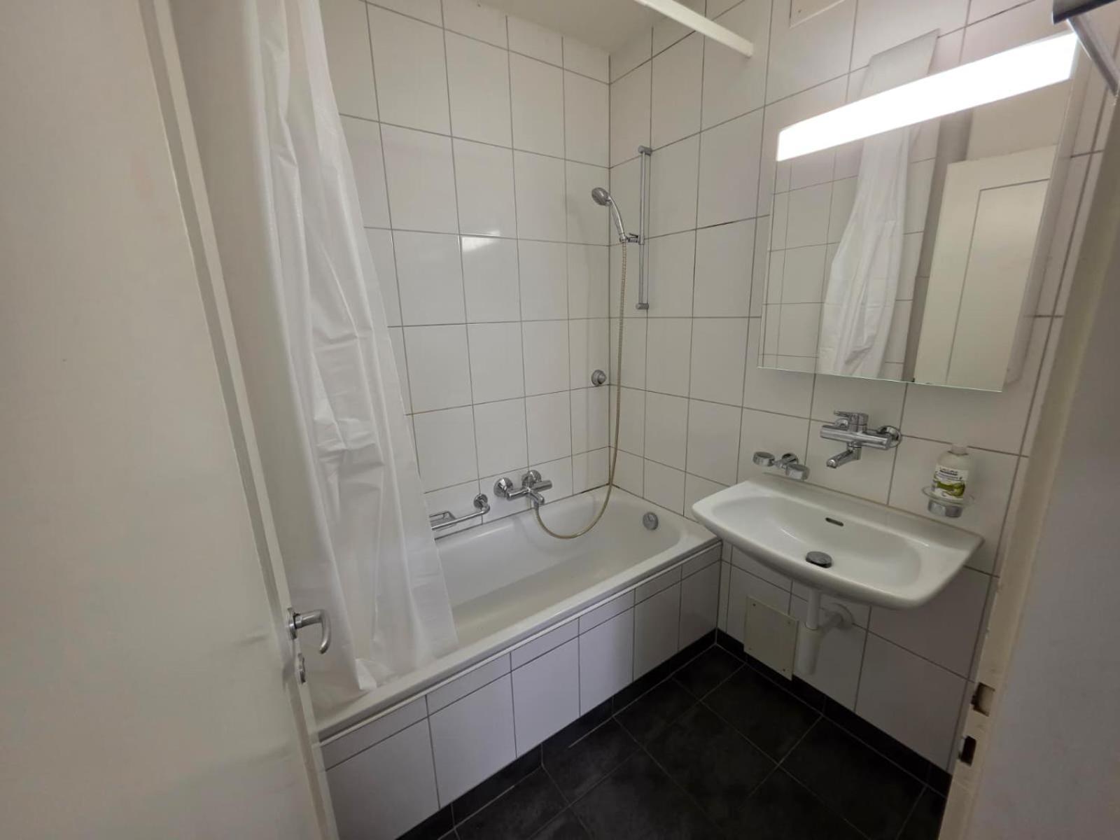 Apartment Large Flats, Center - Sch *