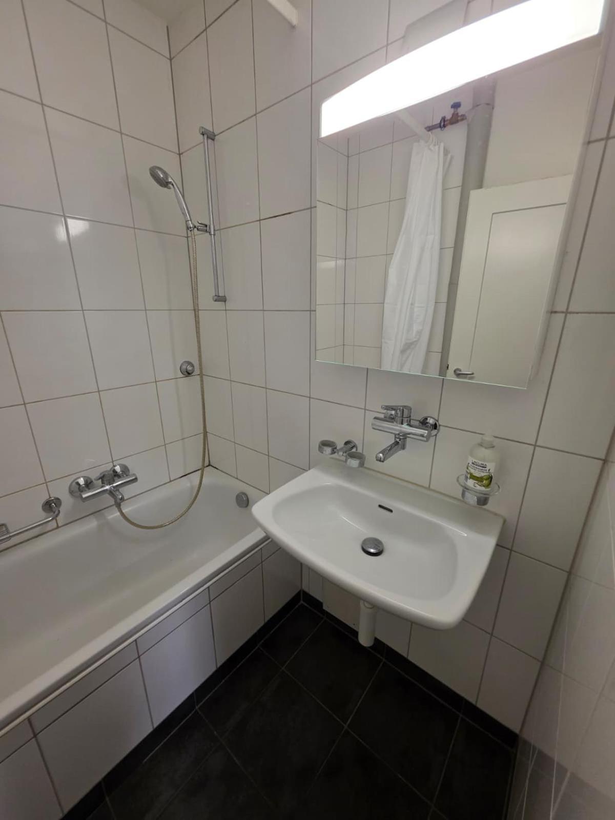 Apartment Large Flats, Center - Sch