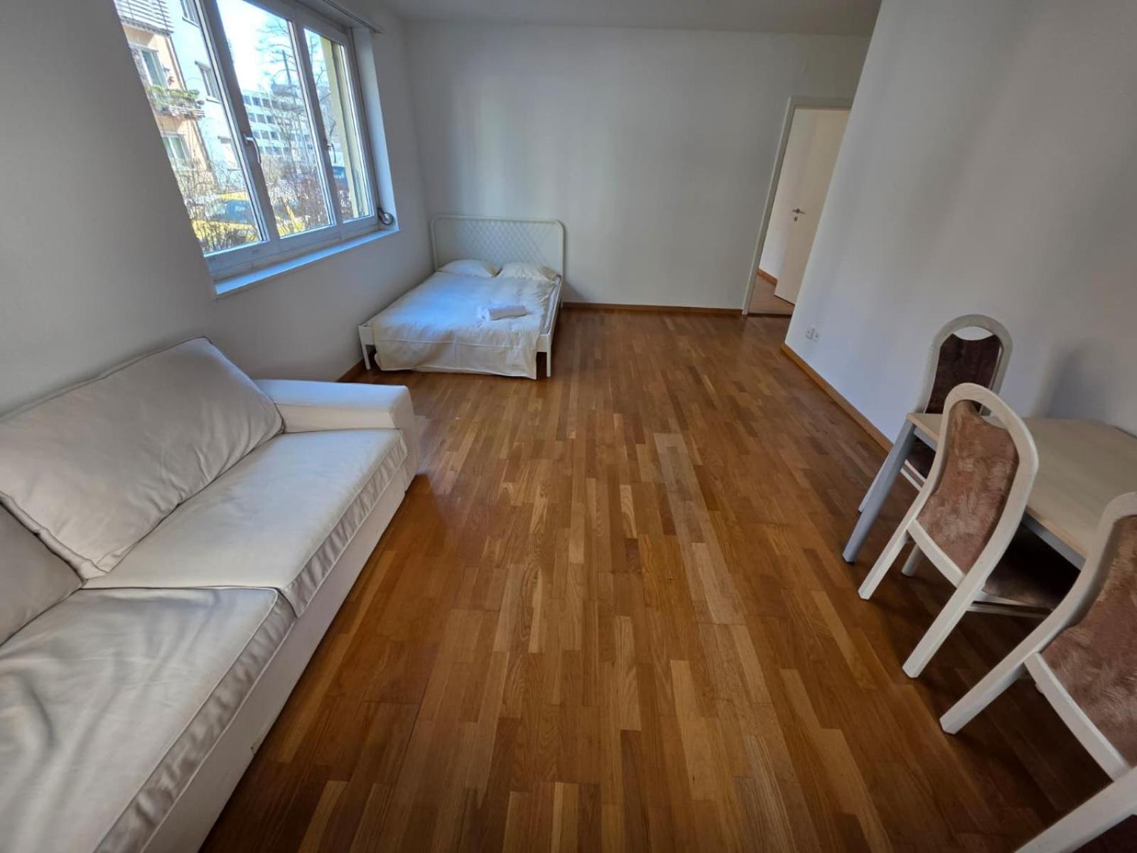 Apartment Large Flats, Center - Sch Zurich