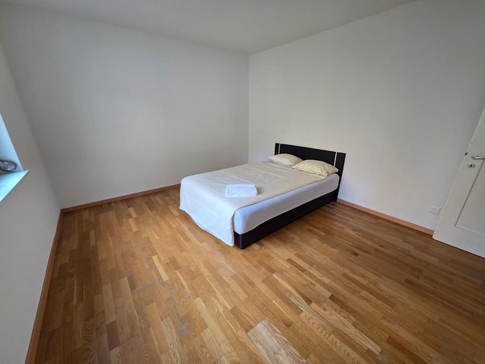 Large Flats, Center - Sch Apartment Zurich