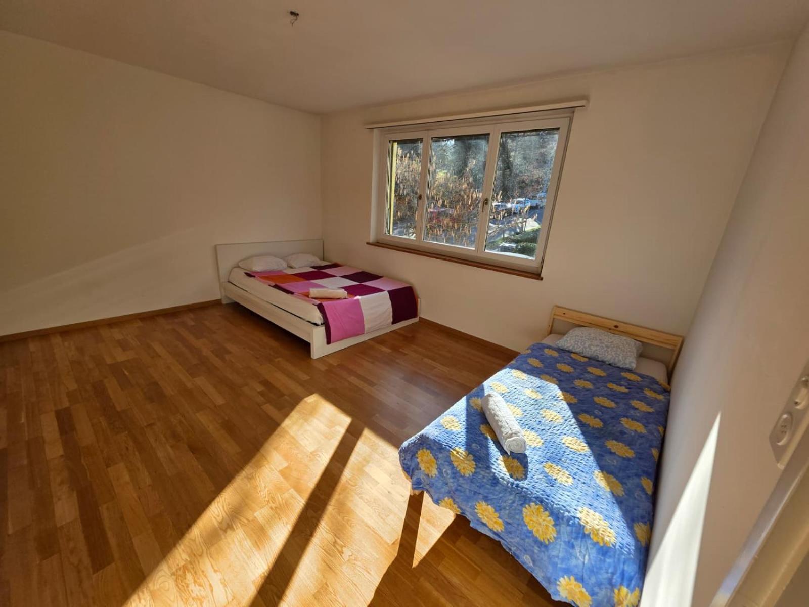 Apartment Large Flats, Center - Sch