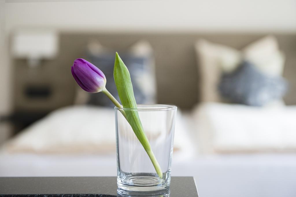 Swiss Star Longstreet - Self Check-in * Zurich