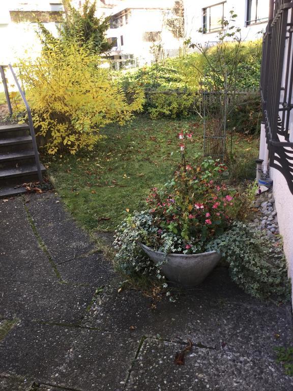 Garden Studio Zurichberg Zurich