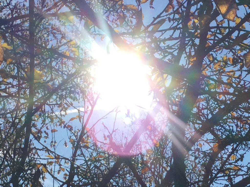 Garden Studio Zurichberg Apartment *