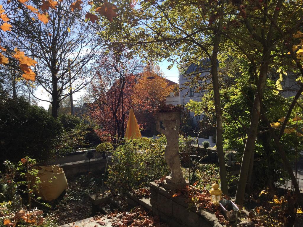 Garden Studio Zurichberg