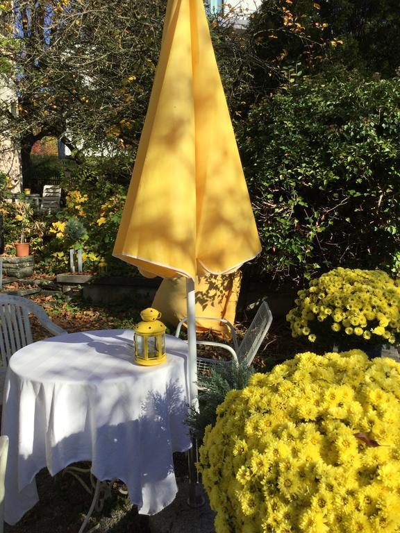 Garden Studio Zurichberg Apartment *