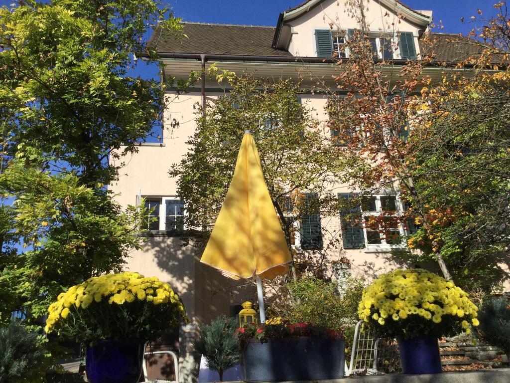 Garden Studio Zurichberg