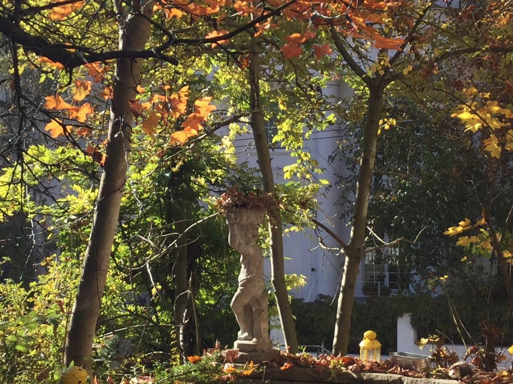 Apartment Garden Studio Zurichberg