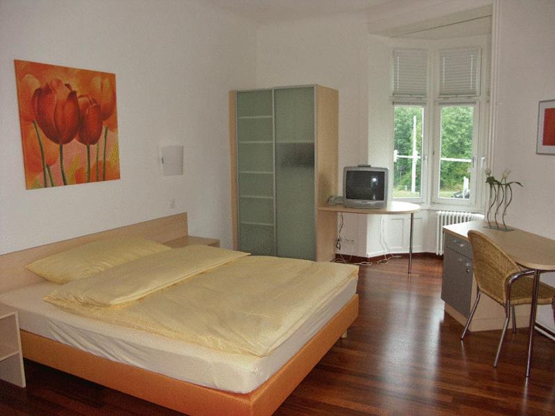 Accademia Apartment *