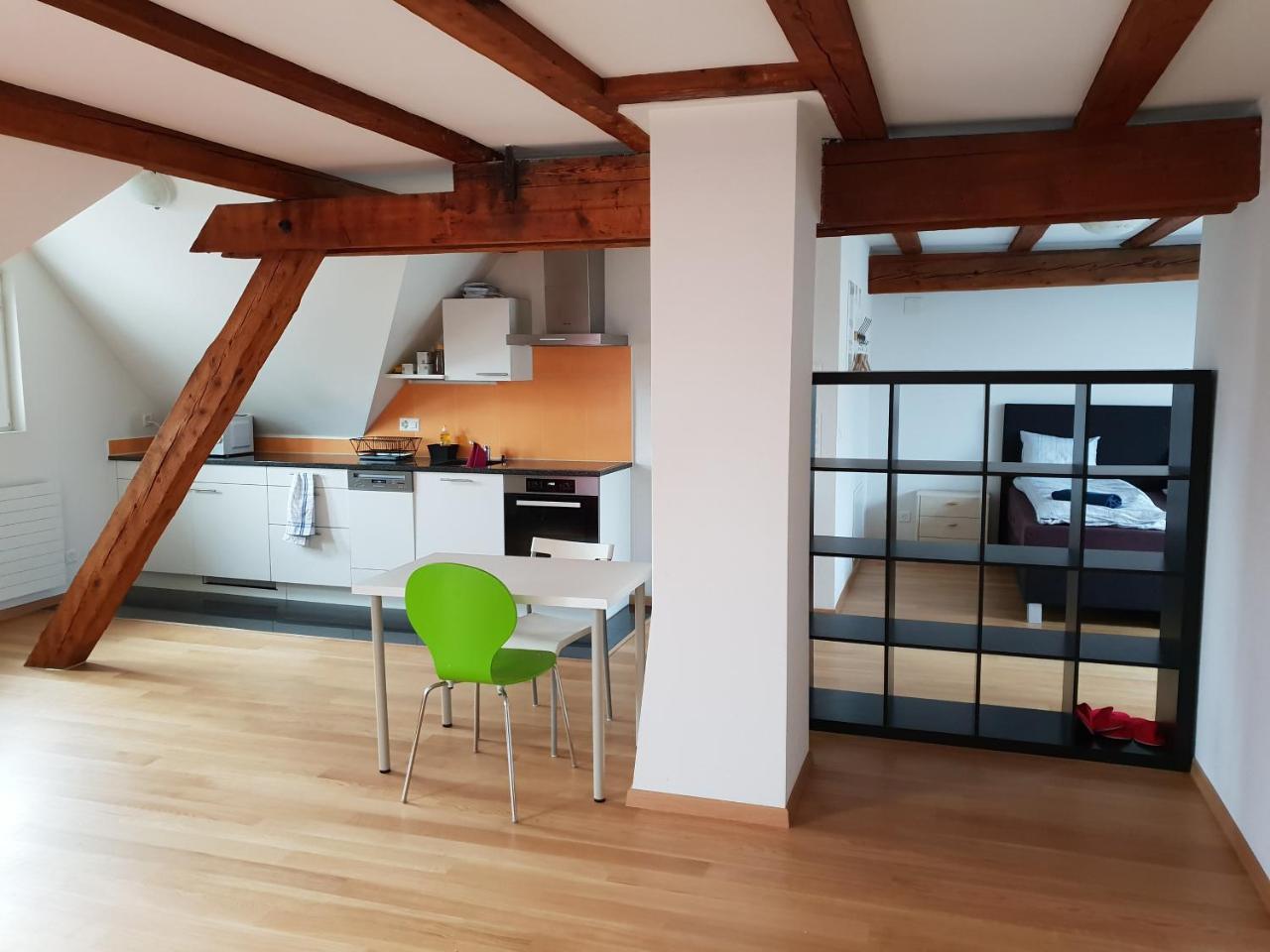 Apartment With Rooftop Garden Zurich