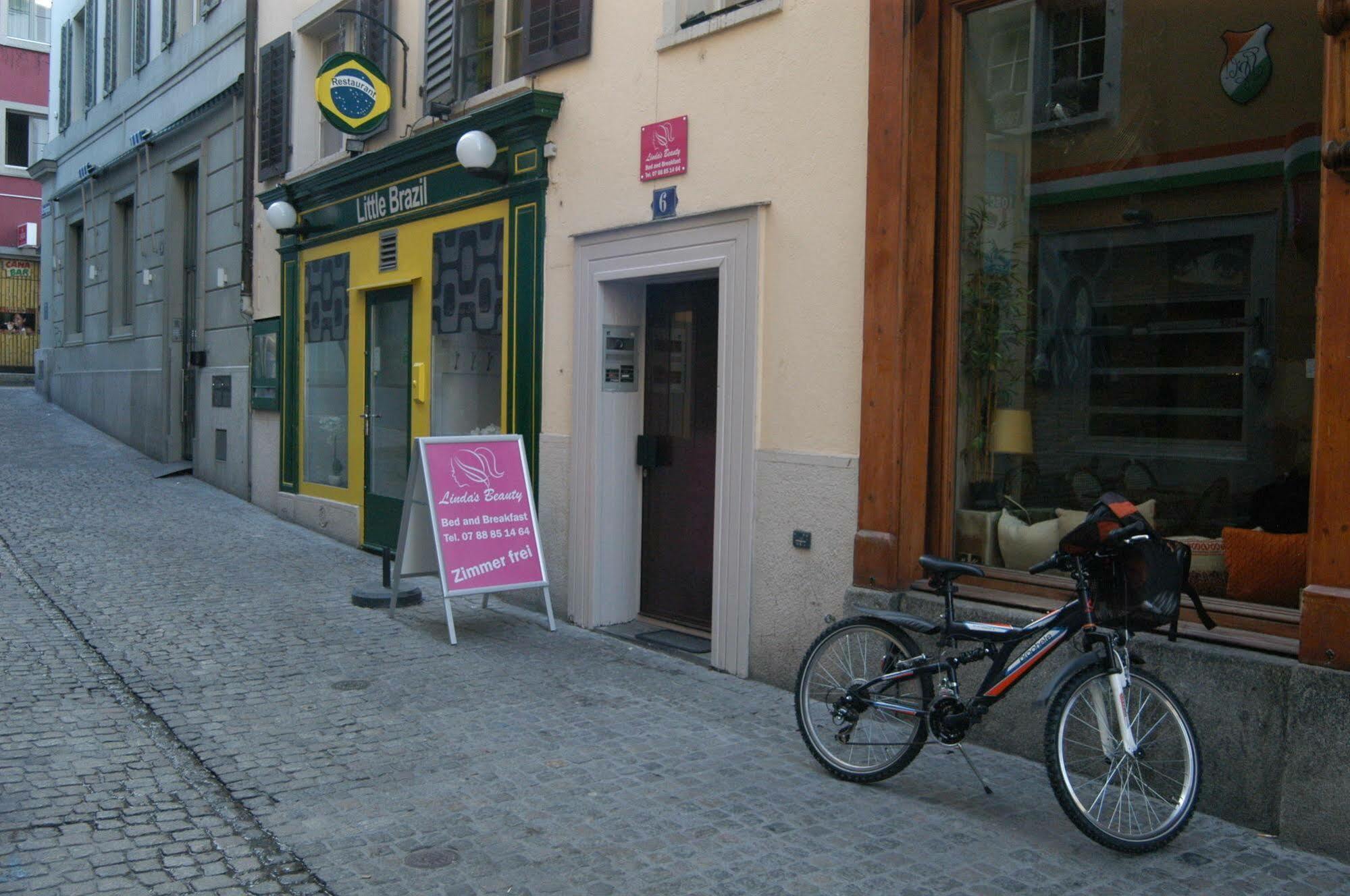 Linda'S Backpacker Zuerich City Apartamento
