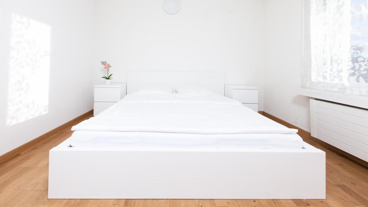 Swiss Star - Contactless Self Check-in