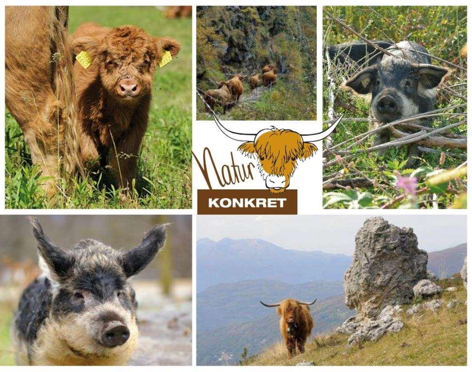 Becozy Self Check-in & Pop-up