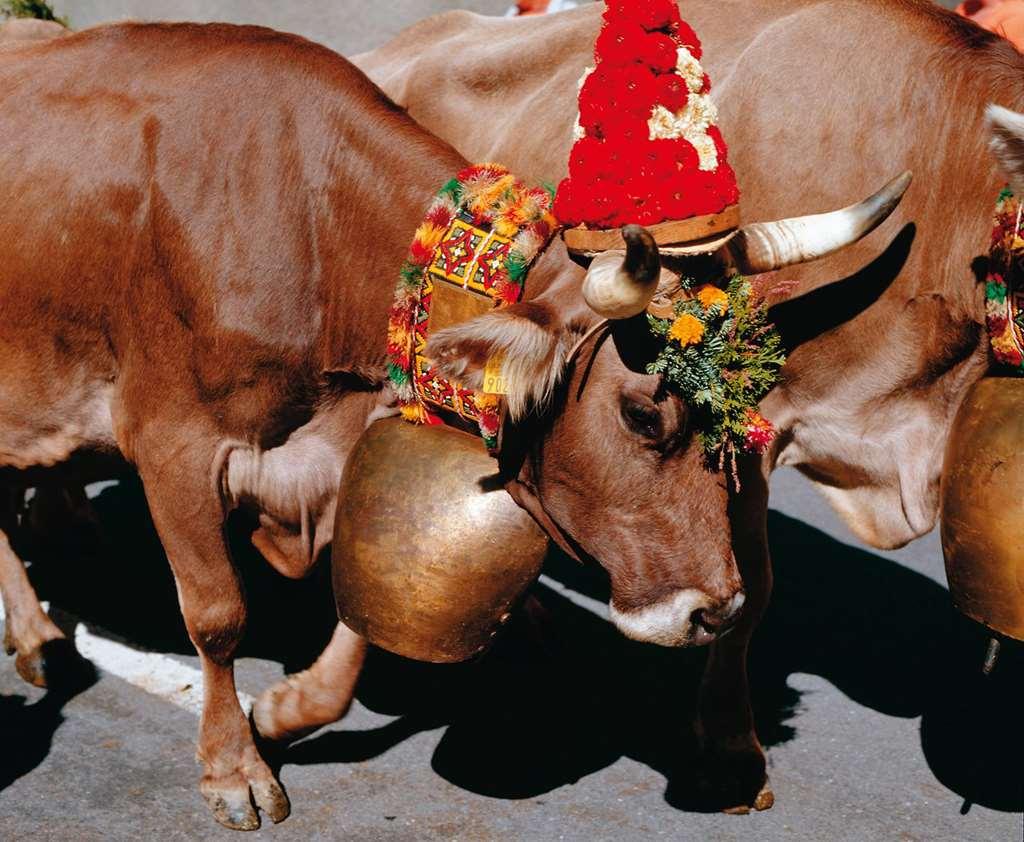 Becozy Self Check-in & Pop-up Hotel Zurich