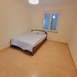 5-Bed Huge Flat In Zurich City - Schurgi - Self Checkin