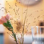 Hotel Pop Up Krone 2*