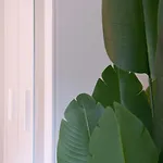 The Line Apartment In Zurich Oerlikon