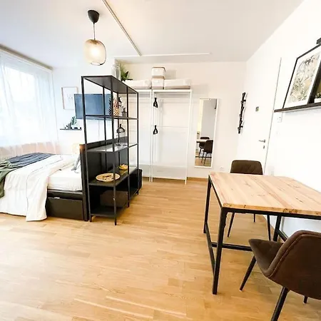 Apartment Comfortable Apt+wifi+smarttv+netflix+rooftop Zurich
