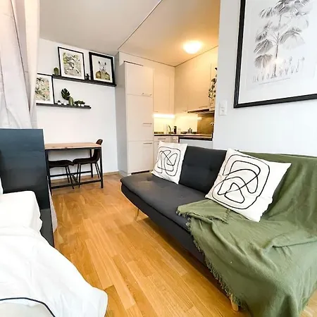 Comfortable Apt+wifi+smarttv+netflix+rooftop Zurich