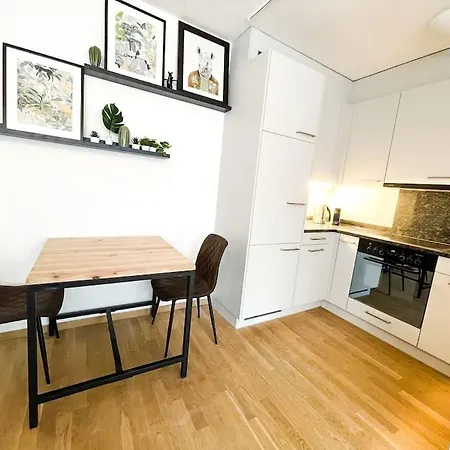 Comfortable Apt+wifi+smarttv+netflix+rooftop Zurich