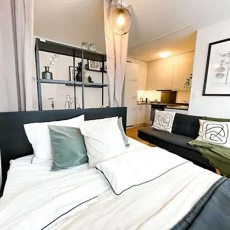 Comfortable Apt+wifi+smarttv+netflix+rooftop Zurich