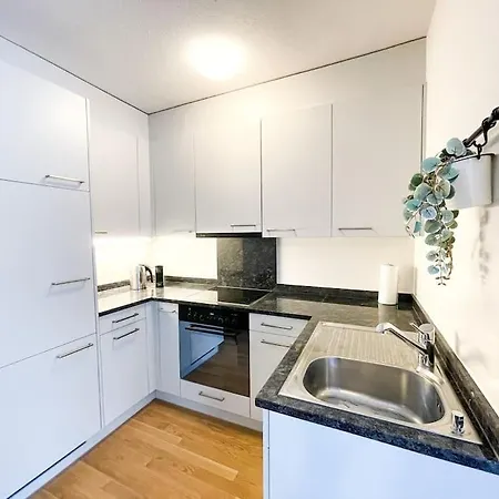 Apartment Comfortable Apt+wifi+smarttv+netflix+rooftop Zurich