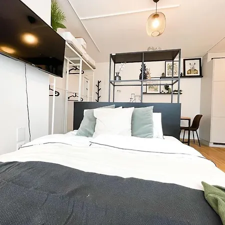 Apartment Comfortable Apt+wifi+smarttv+netflix+rooftop Zurich