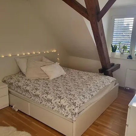 Apartment Gemuetliche Zentrale Wohnung Fuer 4 Personen Zurich