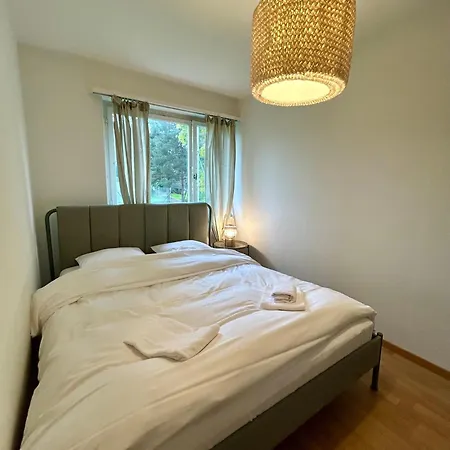 Simple With Natural Light Apartment Zurich